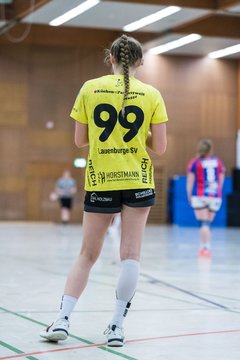 Bild 252 - F HSG Horst/Kieb - Lauenburger SV : Ergebnis: 26:23
